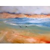NORTH COAST LANDSCAPE  2009 375  - AVAILABLE
